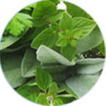 7種の植物混合エキス(スペシャルブレンド)