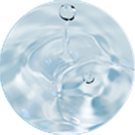 水溶性プロテオグリカン