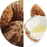 サピンヅストリホリアツス果実水とヤシ油脂肪酸