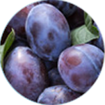 プルーン酵素分解物